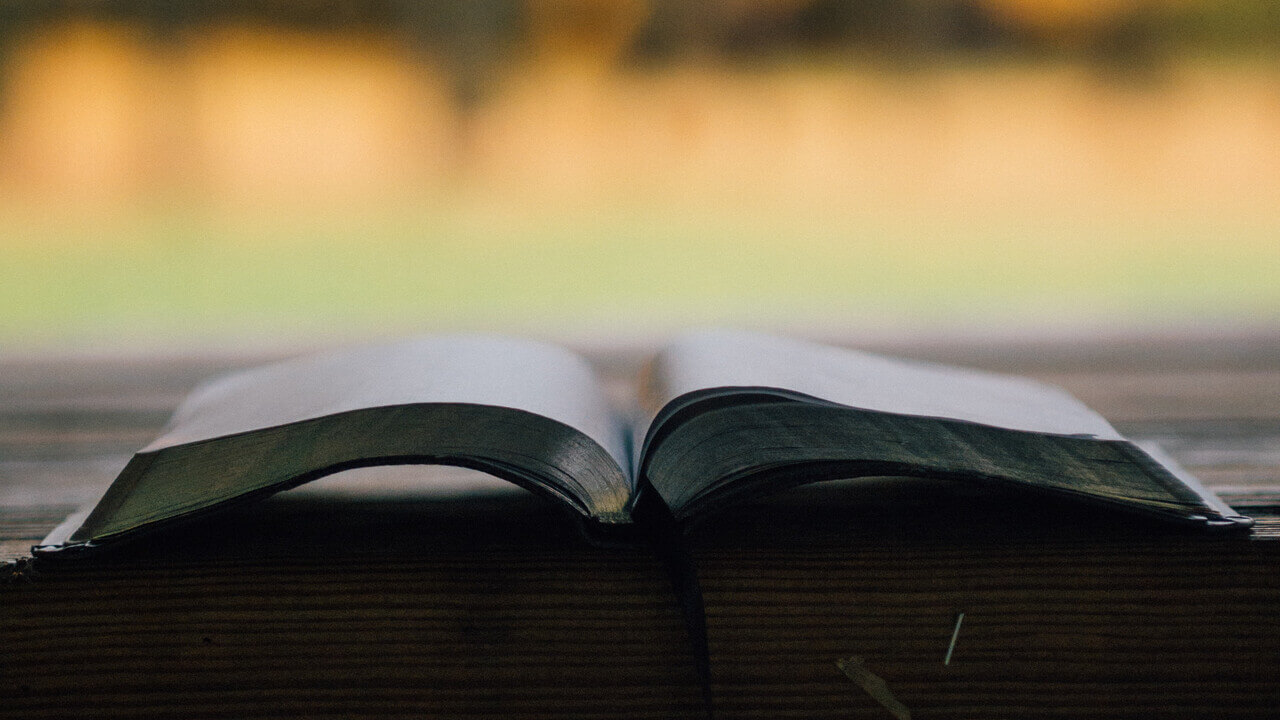 Bible verse of the day